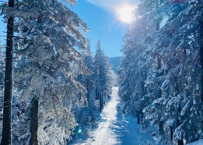 וילה Makuchowka *